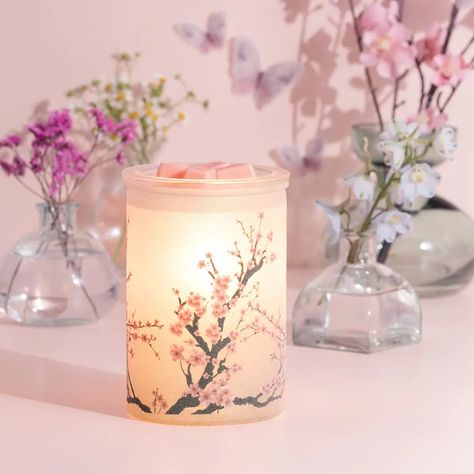 NEW! Cherry Blossom Scentsy Warmer | Spring 2024 Charitable Cause Emergency Shelters, Scentsy Catalog, Scentsy Buddy Clips, Scent Warmers, Scentsy Party, Scentsy Wax Bars, Blossom Design, March 1, Wax Warmers