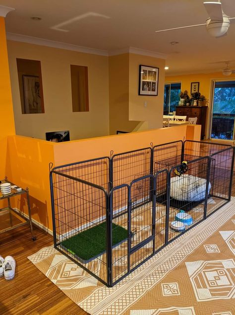 Play Pen For Dogs, Outdoor Puppy Pen, Puppy Pen Ideas Indoor Small Space, Dog Playpen Indoor Ideas, Dog Pen Ideas Indoor, Puppy Crate Setup, Indoor Dog Pen, Playpen For Dogs, Dog Room Design