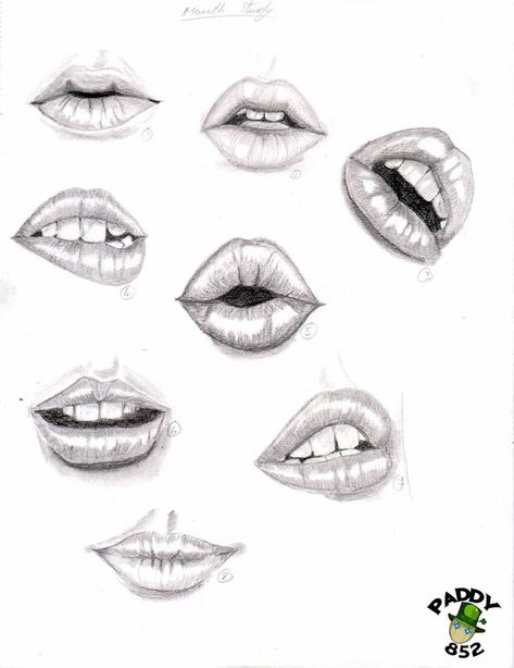 study of lips by paddy852 on DeviantArt Beautiful Pencil Drawings, Drawing Lips, Mouth Drawing, Nose Drawing, Lips Drawing, Drawing Studies, Drawing Faces, Flower Doodles, Angel Face