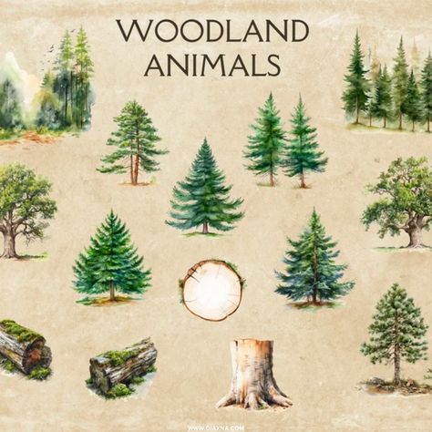 Adorn Your Nursery: Captivating Woodland Animals Clipart Set by FreyasDigitalCrafts - Perfect for Forest-Themed Baby Decor and Projects! — DIAxNA Baby Animals Nursery, Forest Clipart, Animals Watercolor, Watercolor Forest, Woodland Bear, Forest Baby, Animals Nursery, Art Folder, Baby Projects