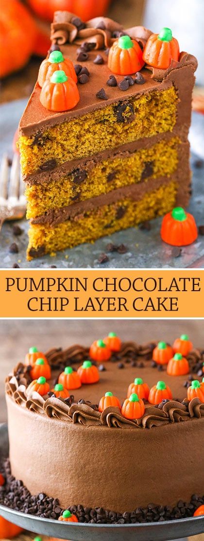 Pumpkin Chocolate Chip Layer Cake - Life Love and Sugar Pumpkin Chocolate Chip Cake, Moist Pumpkin Cake, Cake With Chocolate Chips, Chocolate Pumpkin Cake, Children Cake, Coconut Hot Chocolate, Chocolate Chip Cake, Smooth Cake, Pumpkin Chocolate Chip