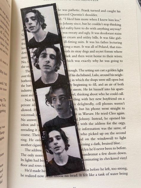 Timothee Chalamet Polaroid, Cleopatra And Frankenstein, The Warden, The Raven Cycle, Donna Tartt, Raven Cycle, Bookmark Ideas, Timmy T, Deodorant Stains