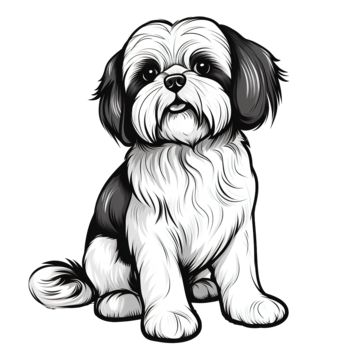 Shih Tzu Drawing, Shih Tzu Illustration, Painting Pastel Colors, Husky Drawing, Rat Drawing, Perro Shih Tzu, Shitzu Dogs, Sharpie Drawings, Cute Dog Drawing