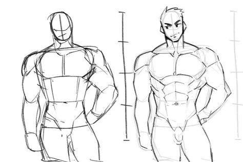 Body Drawing Anatomy, Body Reference Drawing Male, Male Body Drawing, 남성 근육, Male Art Reference, Drawing Male, Drawing Anatomy, Anatomy Tutorial, Human Anatomy Drawing