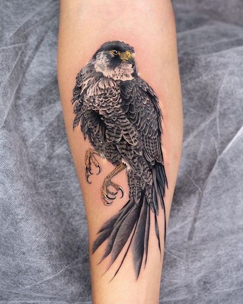 Discover the latest and most popular tattoo trends with our collection of falcon tattoos. Birds Of Prey Tattoos, Bird Of Prey Tattoo, Falcon Tattoo, Hawk Tattoo, C Tattoo, Original Tattoos, Gaming Tattoo, Most Popular Tattoos, Feather Tattoos