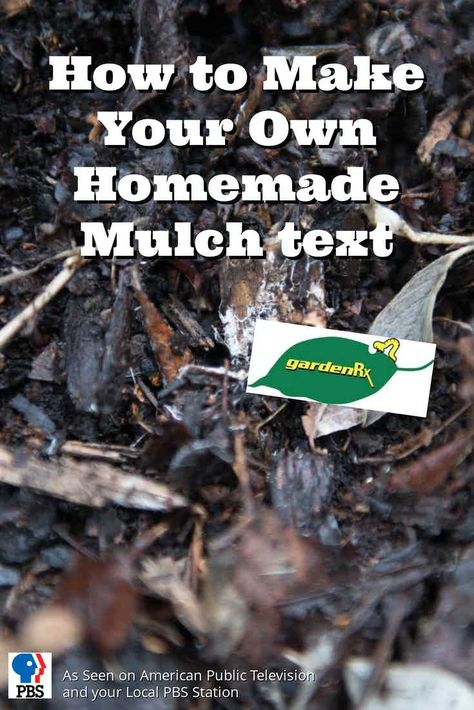 How to Make Your Own Homemade Mulch / PBS-TV’s Garden Rx shows you how to save time and money by making your own homemade mulch and how to use it. How To Make Mulch, Mulch Glue Diy, Diy Mulch Glue Recipe, Wood Mulch, Garden Problems, Garden Solutions, Cheap Meals, Mulch, Lawn And Garden