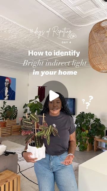 Nkhensani Rikhotso | HerMerakai on Instagram: "What does Bright Indirect Sunlight actually mean? 👀☀️ 

Every looked at the care instructions for a plant you want to buy and it says, low/bright indirect/ bright light and you had no idea what it means? 

Here’s my quick planty hack to help you identify the best light for any plant 🪴 

#plantlovers #houseplantcare #brightindirectlight #houseplantclub #houseplantlove  #houseplantjournal #houseplantsofinstagram #houseplantsmakepeoplehappy #urbanjungle to 
#therealhouseplantsofinstagram #houseofplantlovers #plantsmakemehappy #monsteramonday #blackgirlsgardening #helloplantlover #noirplantclub #pocketofmyhome #urbanjunglebloggers #plantsofinstagram #ihavethisthingwithplants #crazyplantlady #indoorplants #houseplantcommunity #jungalowstyle #plan Indirect Lighting Plants, Succulent Ideas, Lit Meaning, Jungalow Style, Plant Journal, Indirect Sunlight, Indirect Lighting, House Plant Care, You Have No Idea