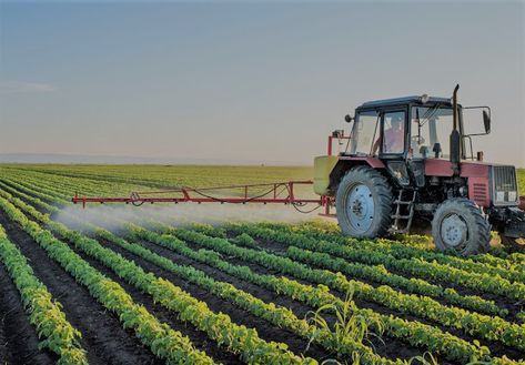 Agriculture: About Intensive Farming and Extensive Farming. Agriculture Business Plan, Agriculture Business, Organic Pesticide, Livestock Farming, Farm Business, Sustainable Farming, Soil Health, Career Opportunities, Bratislava