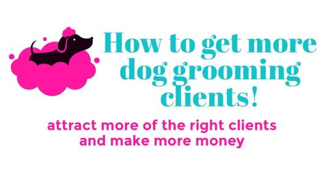 Dog Grooming Marketing Ideas, Dog Grooming Advertising Ideas, Dog Grooming And Boarding Ideas, Dog Grooming Salon Ideas Decor Business, Grooming Business Ideas, Dog Grooming Instagram, Dog Grooming Salon Ideas Decor, Grooming Shop Ideas, Pet Grooming Salon Ideas Design