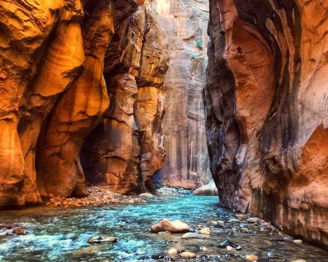 The Narrows, Zion National Park is one of the most iconic hikes in the world. The trail is almost entirely through water up the Virgin River in a deep gorge with high red sandstone walls. Naturally, the hike is quite dangerous and can't hiked sometimes. We answer all the questions you need to know before you go: when can I hike the Narrows? What should I pack to hike the Zion Narrows? Everything you need to know about this bucket list adventure see here #zionnationalpark #utah #adventure #hiking Zion Narrows Hike, Zion National Park Photography, Narrows Zion National Park, The Narrows Zion, Zion National Park Hikes, Hiking The Narrows, Utah Road Trip, National Parks Photography, Vacation Photography