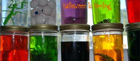 halloween-specimen-jars Science Halloween, Mad Scientist Halloween, Cheap Halloween Diy, Mad Scientist Party, Cheap Diy Halloween Decorations, Cheap Halloween Decorations, Halloween Science, Science Birthday, Easy Diy Halloween Decorations