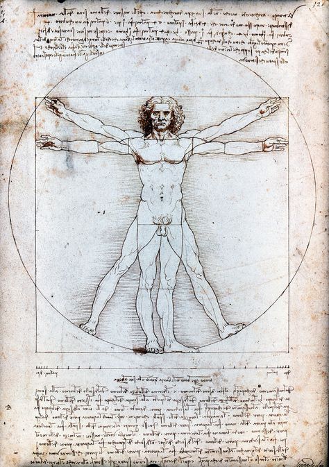 El descubrimiento de la circunferencia - Relatos Vitruvian Man Tattoo, Da Vinci Vitruvian Man, Vitruvian Man, Human Figure Drawing, Oil Painting Reproductions, Painting Reproductions, Anatomy Art, Flower Of Life, Exhibition Poster