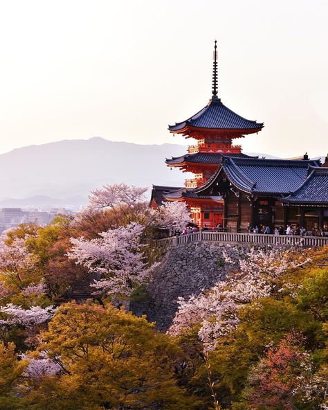 Kyoto Temple, Kiyomizu Temple, Spring Scenery, Japan Spring, Sakura Bloom, Blossom Season, Kyoto Travel, Japan Vacation, Kiyomizu Dera