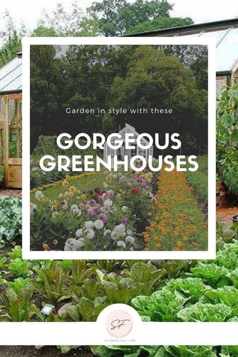 GREENHOUSES: HOW TO CREATE A GORGEOUS BACKYARD INSTANTLY Greenhouse Shed Combo, Simple Greenhouse, Cottage Garden Sheds, Cold Frames, Diy Greenhouse Plans, Greenhouse Shed, Greenhouse Ideas, Potting Tables, Home Greenhouse