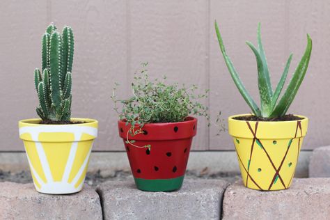 Green Spray Paint, Plant Pot Design, Painted Pots Diy, Painted Plant Pots, Flower Pot Design, Painted Clay Pots, Fleurs Diy, Painted Terra Cotta Pots, Flower Pot Crafts