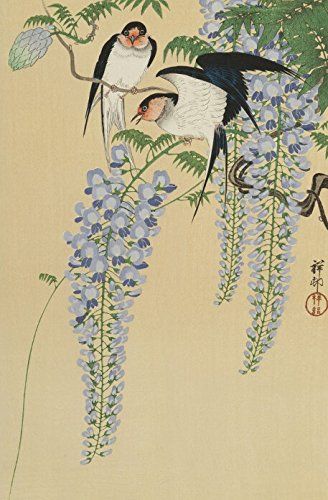 Amazon.com: Japanese Art Print "Wisteria and Swallows (Fuji no Tsubame)" by Ohara Koson: Posters & Prints St Louis Art Museum, St Louis Art, Japanese Bird, Art Chinois, Ohara Koson, 자수 디자인, Art Japonais, Japanese Patterns, Japanese Woodblock Printing