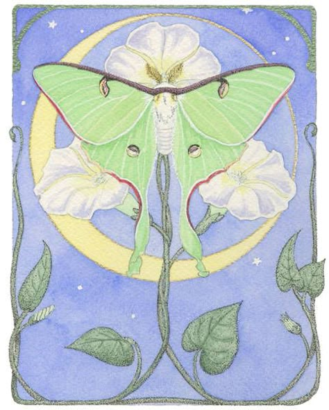 Moth Mural, Moonflower Drawing, Luna Moth Painting, Cecil Harvey, Sketchbooks Ideas, Lunar Moth Tattoo, Feminine Inspiration, Moth Drawing, Moth Tattoo Design