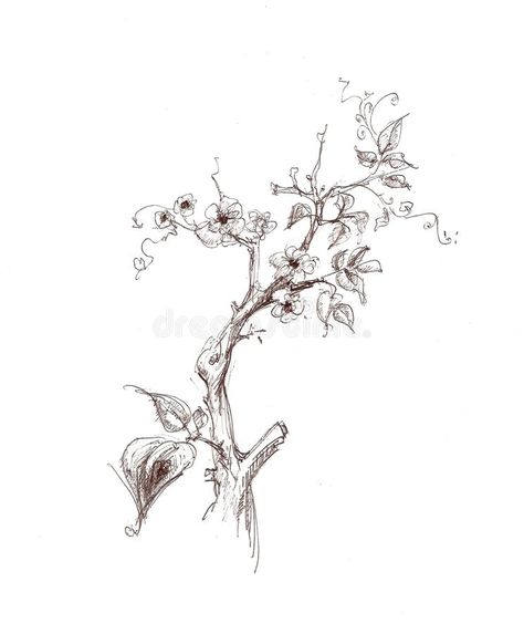 Cherry branch sketch. Tree branch with leaves and cherry flowers #Sponsored , #ad, #Paid, #branch, #cherry, #flowers, #sketch Tree Branch Illustration, Branch Sketch, Tree Branch With Leaves, Cherry Tree Branch, Branch Illustration, Cherry Branch, Flowers Sketch, Branch With Leaves, Cherry Flowers