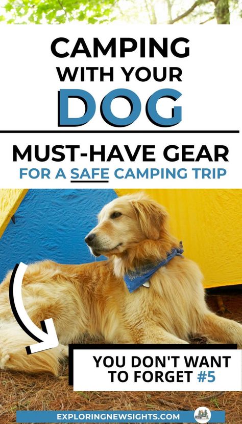 Dog Camping Gear, Must Have Camping Gear, Pet Camping, Camping Must Haves, Outdoor Dog Bed, Dog Camping, Family Camping Trip, Camping Checklist, Dog Hacks