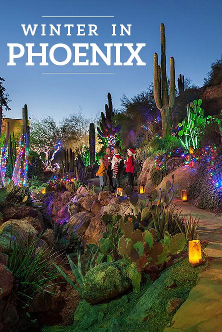 Christmas In Phoenix Arizona, Phoenix In December, Things To Do In Arizona In Winter, Things To Do In Phoenix Arizona Kids, Things To Do In Phoenix Arizona Winter, Phoenix Arizona Outfits Winter, Phoenix Arizona Things To Do In, Phoenix Things To Do, Phoenix Travel Guide