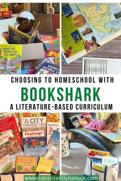 Have you been considering homeschool? Take a look into our experience with BookShark, a literature-based curriculum. #homeschool #homeschoolcurriculum #bookshark #booksharkcurriculum #homeschooling Literature Based Homeschool, Literature Based Curriculum, Homeschool Books, History Curriculum, Classical Education, Homeschool History, Homeschool Life, History For Kids, Family Travel Destinations