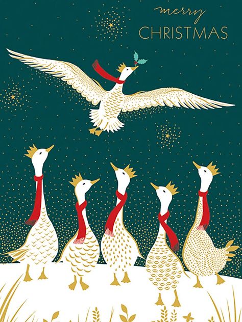 Christmas Card Online, Christmas Goose, Sara Miller, Holly Christmas, Birthday Cards For Her, Sketchbook Inspiration, Window Painting, Christmas 2020, Christmas Holly