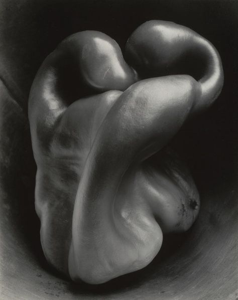 Edward Weston. Pepper No. 30. 1930 | MoMA Juan Sanchez Cotan, Straight Photography, Imogen Cunningham, Edward Weston, Henri Cartier Bresson, Alfred Stieglitz, Ellen Von Unwerth, Richard Avedon, Gelatin Silver Print