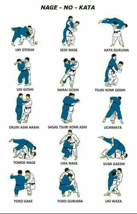 Systema Martial Art, Jiu Jitsu Frases, Judo Training, Karate Moves, Fighter Workout, Judo Karate, Martial Arts Sparring, Jiu Jitsu Techniques, Kyokushin Karate