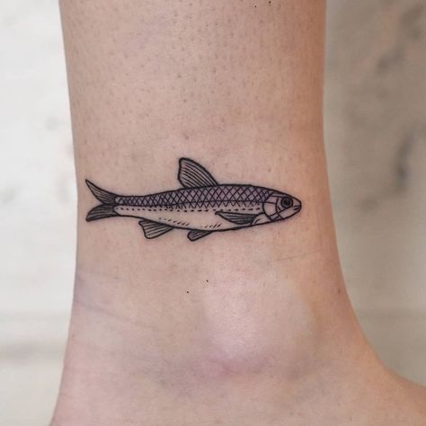 E.K. Chan 🦖 on Instagram: “occasionally do teeny things too, like this minnow for B. thank you! . #torontotattoo #torontoartist #qttr #qpocttt #torontoqttr…” Sardine Tattoo, Small Fish Tattoos, Mum Tattoo, Forever Tattoo, Tattoo Minimal, London Tattoo, Shark Tattoos, Fish Tattoo, Weird Tattoos