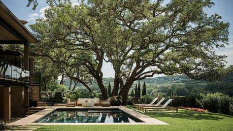 Pool Landscape, Lake Austin, Live Oak Trees, Austin Homes, Inviting Home, Classical Architecture, Coffered Ceiling, Gorgeous View, House Tour