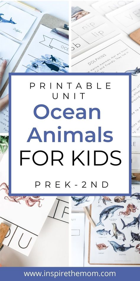 What are some good ocean animals for kids to learn about? Check out this Ocean Animals unit study that highlights 12 amazing ocean animals. #ocean animals for kids #ocean animals #science #math #home school #science unit #teacher resource #education #ocean animals unit Fish Unit Study, Ocean Animals For Kids, Sea Turtle Life Cycle, Ocean Habitat, Ocean Projects, Animal Activities For Kids, Animal Lessons, Unit Studies Homeschool, Addition And Subtraction Practice