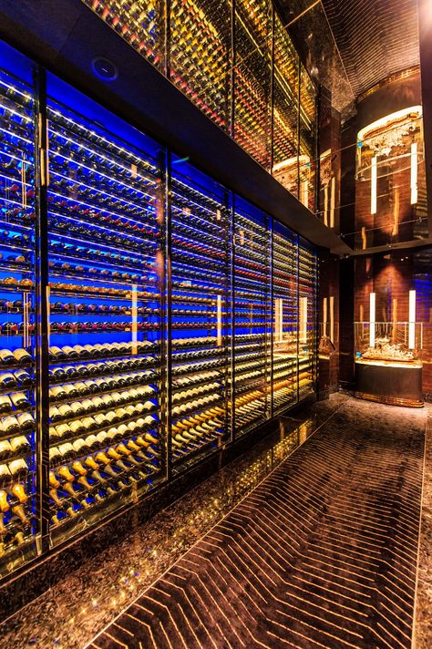 Wine Cellar Lighting, Secret Vault, Wine Shop Interior, Wine Room Design, Bar Counter Design, Home Wine Cellars, Diy Garden Fountains, Wine Cellar Design, Cellar Design