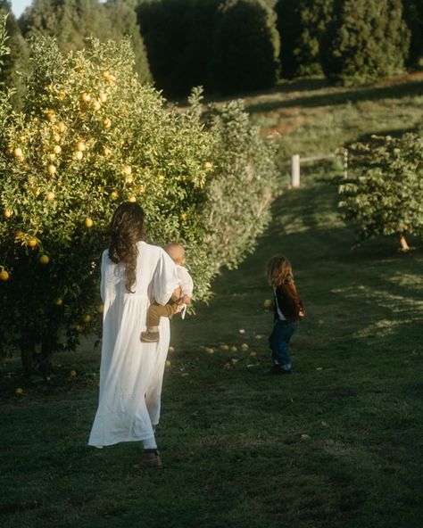 Italian Countryside Aesthetic Outfits, Italian Countryside Aesthetic, Lemon Trees, Garden Farmhouse, Motherhood Photography, Farmhouse Aesthetic, Italian Countryside, Lemon Tree, Aesthetic Style