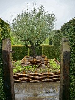 Garden Lifestyle, Wattle Fence, Chair Mid Century, Chair Planter, Wicker Planter, Painted Wicker, Green Side, Veg Garden, Wicker Decor