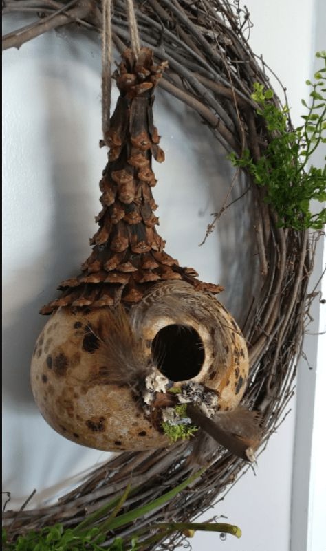 Diy Gourd Birdhouse, Painted Gourds Birdhouses, Gourd Art For Beginners, Gourds Decor, Gnome Gourds, Gourd Art Patterns, Gourd Projects, Gourds Diy, Gourd Painting