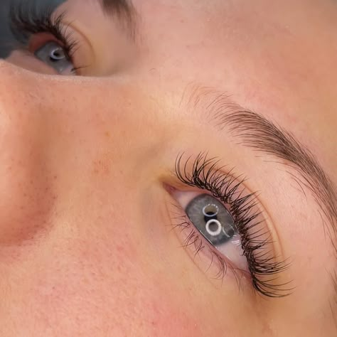 a gorgeous set of lashes 🫶🏼 classic full set done on @11_mickey <3 lash map - 8, 9, 10 - c curl @llbaprofessional - velvet super mink classic 0.15 #classiclashes #classiclashextensions #classiclash #classiclashesextensions #classiclashset #classiclashextension #classiclashmap #lashes #lasheslasheslashes #lashesonlashes #eyelashextensions #eyelashes #lashesmagazine #llbaprofessional #llba Classic Lash Map C Curl, Natural Fake Eyelashes Extensions, Pretty Lashes Natural, Full Classic Eyelash Extensions, C Curl Lashes, Classic Lash Set, Classic Full Set, Velvet Lashes, Natural Looking Eyelash Extensions