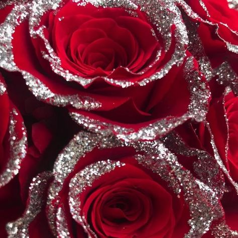 Red Glitter Roses, Rose Bouquet Pictures, Flower Explosion, Pretty Flowers Pictures, 12 Roses, Money Flowers, Glitter Images, Red Rose Bouquet, Glitter Flowers