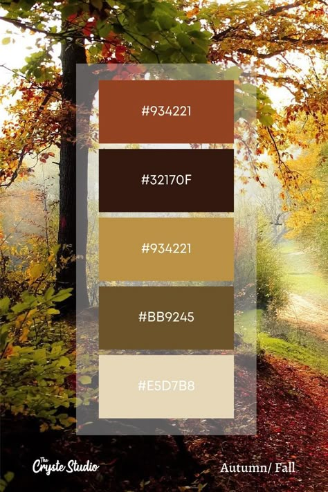 Fall/Autumn color palette scheme for color inspiration with hex codes for digital painting. (1/9) Follow the Cryste Studio for more color inspirational palettes. Rgb Palette, Color Coding Notes, Fall Color Pallet, Color Names Chart, Halloween Color Palette, Fall Decal, Autumn Color Palette, Fall Color Schemes, Rgb Color Codes