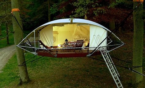 Forest Project, Urban Camping, Eco Houses, Tree Camping, Tree Tent, Treehouse Cabins, Hanging Tent, Outdoor Terrace, Cool Tree Houses