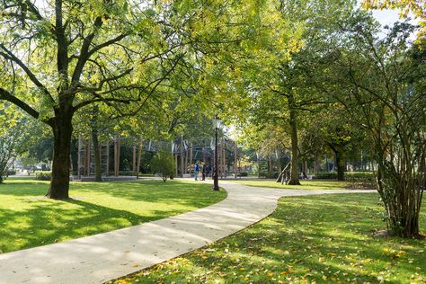 Landscape Architecture Park, Outdoor Park, Park Landscape, Urban Park, Green Park, Outdoor Playground, Amsterdam Netherlands, Contemporary Landscape, Types Of Houses