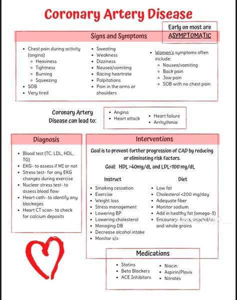 Coronary Arteries Disease Nursing, Med Surg Nursing Cardiovascular, Acute Coronary Syndrome Nursing Notes, Med Surg Cardiovascular, Cardiac Disorders Nursing, Coronary Arteries Disease, Nursing Binder, Nursing Cardiovascular, Cardiology Study