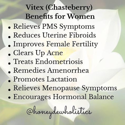 Chasteberry Benefits, Vitex Benefits, Fibroid Diet, Benefits Of Berries, Fertility Health, Improve Fertility, Naturopathic Medicine, Menstrual Health, Herbs For Health