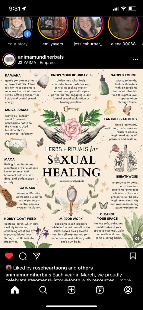 Herbs For Womb, Essential Oil Aphrodisiac, Aphrodisiac Foods, Womb Healing, Magic Herbs, Feminine Health, Herbal Healing, Herbal Magic, Holistic Remedies