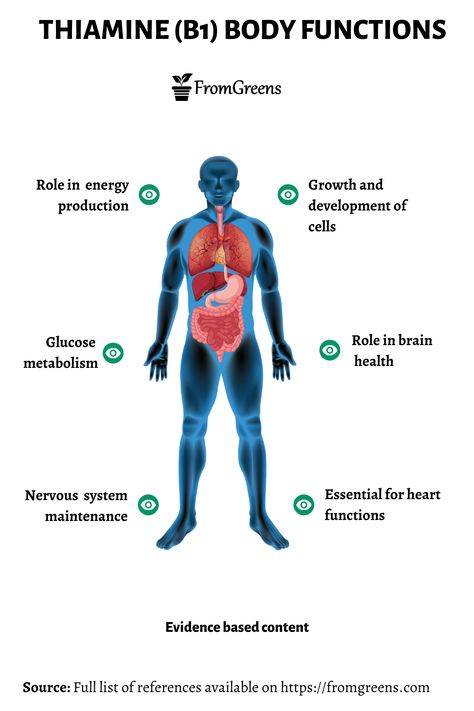 Vitamin D Deficiency Symptoms, Vegan Blog, Human Nutrition, Vitamin D Deficiency, Balanced Nutrition, Nutritional Deficiencies, Pantothenic Acid, Nutrition Plans, Sharing Board