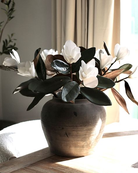 New ! Magnolia stems with white flowers 🤍 Magnolia In Vase, Magnolia Flowers Aesthetic, Magnolias In Vase, Magnolia Stems In Vase, Open Magnolia Flower, Magnolia Flower, Magnolia, White Flowers, White