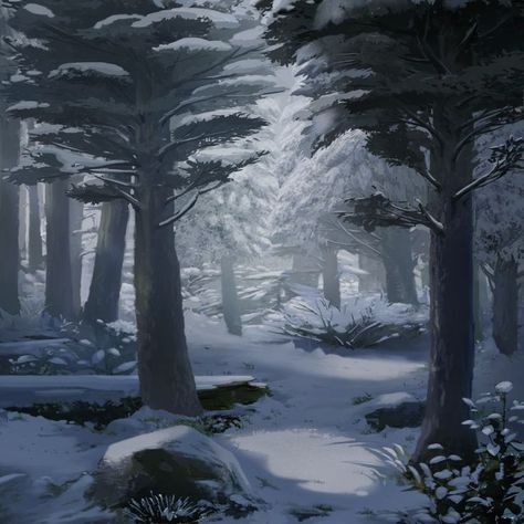 Forest Drawing, Little Nightmares Fanart, Scenery Background, Snowy Forest, Fantasy Forest, Fantasy Setting, Winter Scenery, Forest Art, Cool Wallpapers Art