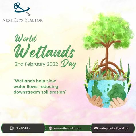 2 February 2022 is World Wetlands Day - a time to celebrate and protect the incredible biodiversity of these beautiful and vital habitats. Not only Wetland ecosystems support a host of birds, animals and plant life - but they are equally important for the survival of humans too.. World Wetlands Day, Botanical Products, Green Coffee Bean Extract, Best Digital Marketing Company, Website Design Company, Website Design Services, Web Development Company, Custom Website, Online Education