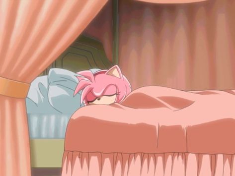 Rosé Sleeping, Goodnight Everyone, Sonic Pictures, Cute Sonic, Rose Cute, Blaze The Cat, Shadow And Amy, Amy The Hedgehog, Fortune Favors The Bold