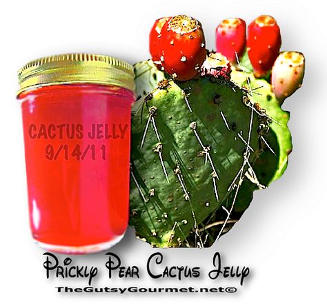 CACTUS JELLY | The Gutsy Gourmet - http://www.thegutsygourmet.net/cactus-jelly.html Nopales Recipes, Cactus Jelly, Prickly Pear Jelly, Canning Pantry, Native American Recipes, Prickly Pear Recipes, Dungeness Crab Recipes, Cactus Recipe, Cactus Food