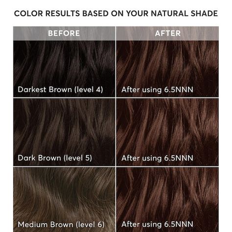 Novara Light Brown Hair Dye | Light Brown Hair Color for Full Gray Coverage Medium Neutral Brown Hair, Medium Brown Hair Dye, Neutral Brown Hair, Hair Color Gloss, Rich Brown Hair Color, Light Brown Hair Dye, Madison Reed Hair Color, Dark Brown Hair Dye, Brown Hair Color Chart